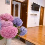 Dnevni boravak apartman Herceg Novi